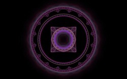 2014 04 30 Webs and Things 21-black.jpg